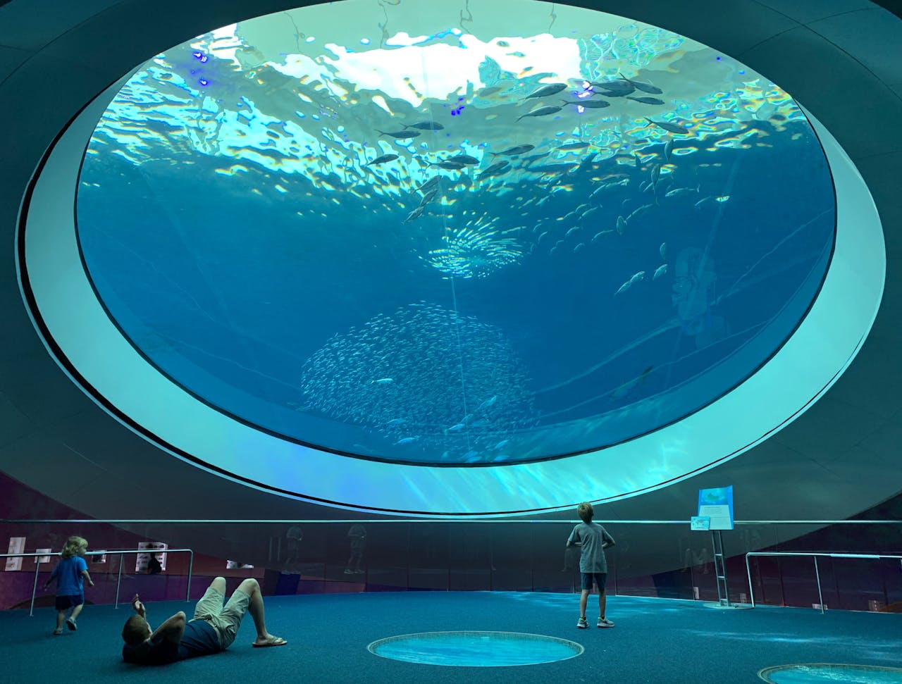 A family enjoys the vibrant marine life through a large aquarium dome in Miami.